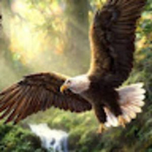 Meet your Posher, Vicki